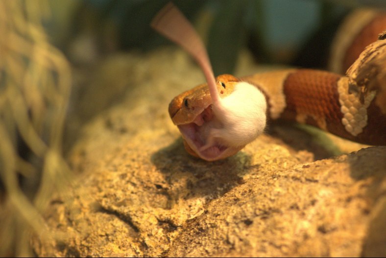 Got you!!